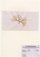 藏品(扇形囊膜藻)的圖片